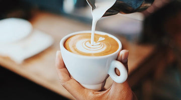 Coffee Shops to Study Near Me Birmingham Mi